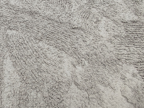 CP 225 (10)
